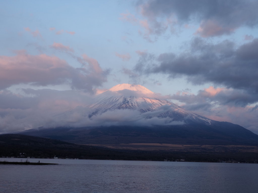 4/10 ���Ă��̕x�m�R