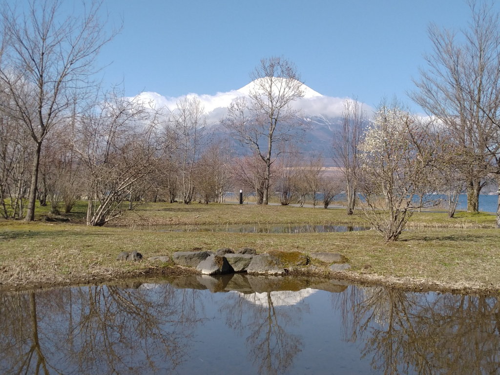 4/10 �t���x�m