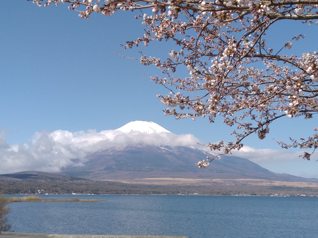 4/10 ���ƕx�m�R(3)