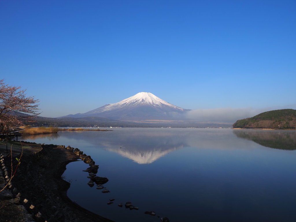 4/11 �t���x�m