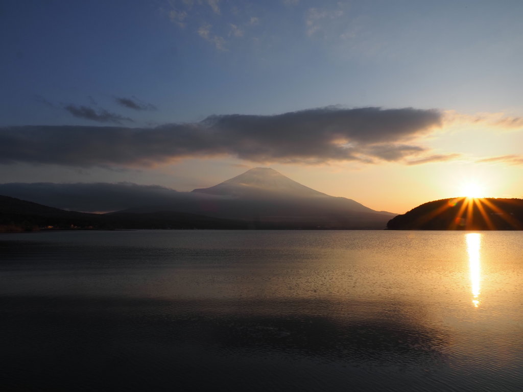 4/11 ���̓���̕x�m�R