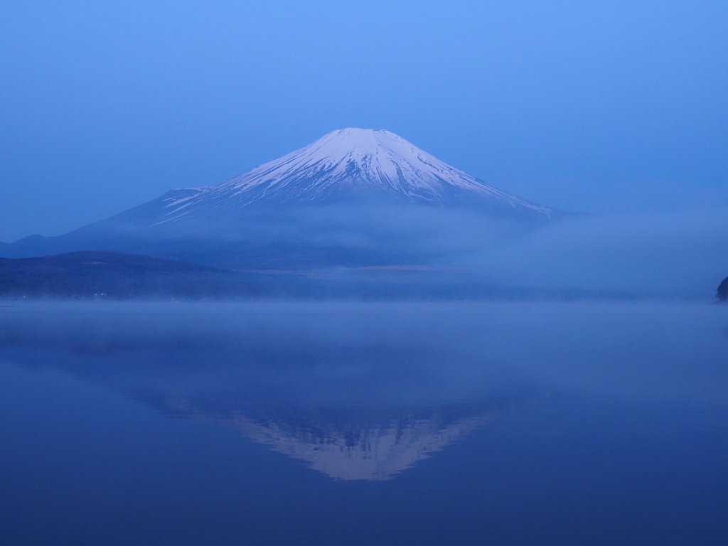 4/12 �t���x�m