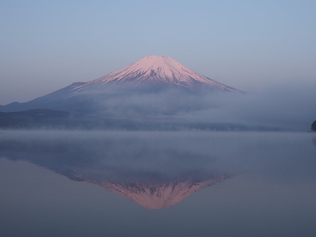 4/12 �t���g�x�m