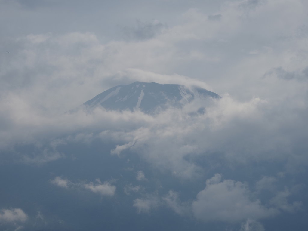 6/25 ��u�̕x�m�R