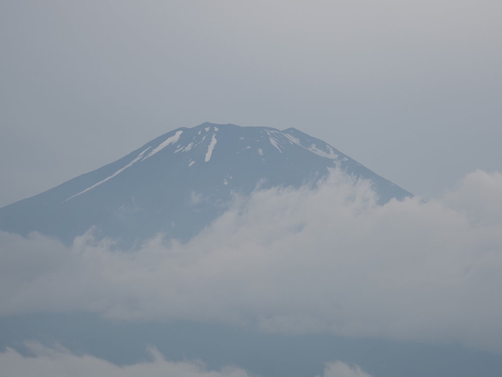 6/25 �����n�߂��x�m�R