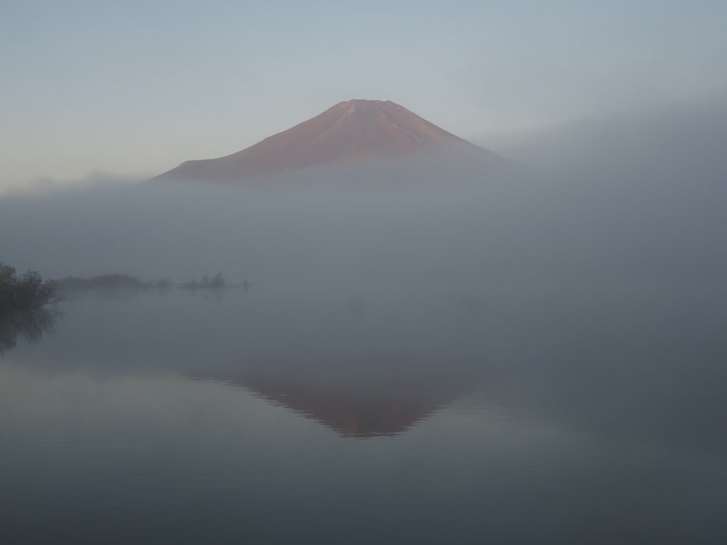 10/4 ��u�̋t���ԕx�m