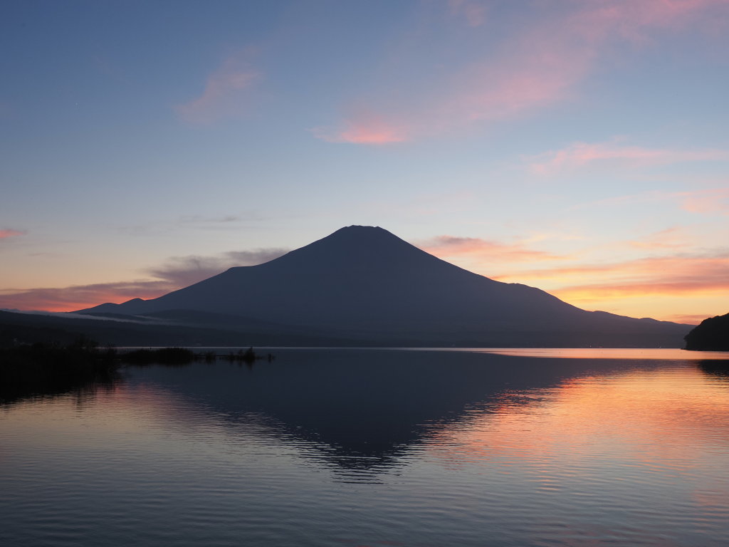 10/4 �[�Ă��̕x�m�R