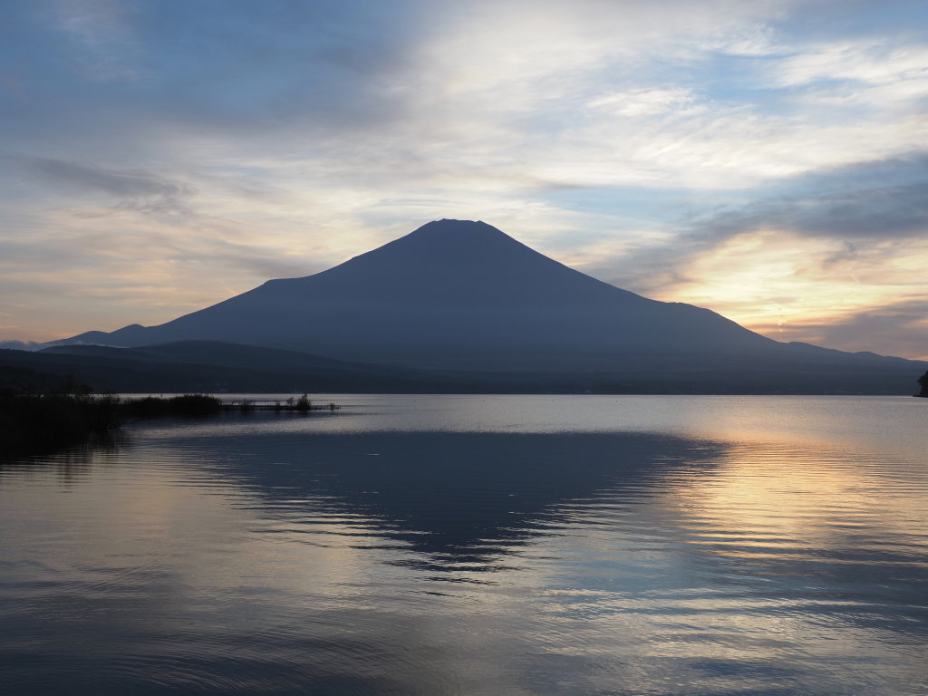 10/5 ���̓���̕x�m�R