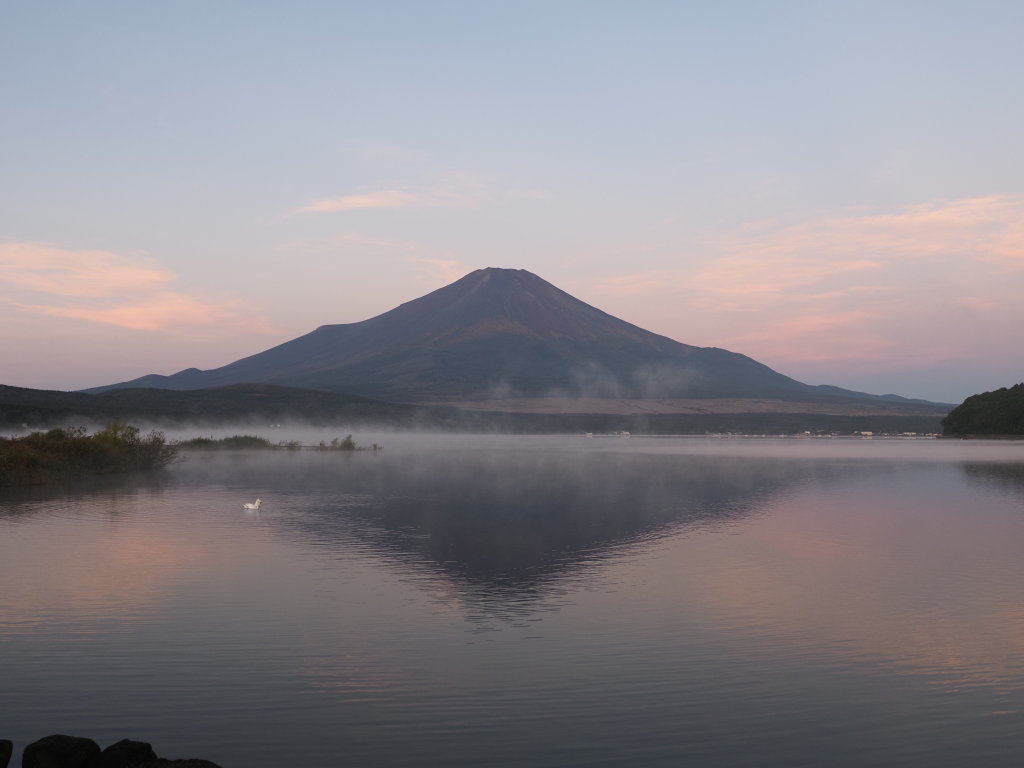 10/6 ���Ă��̋t���x�m