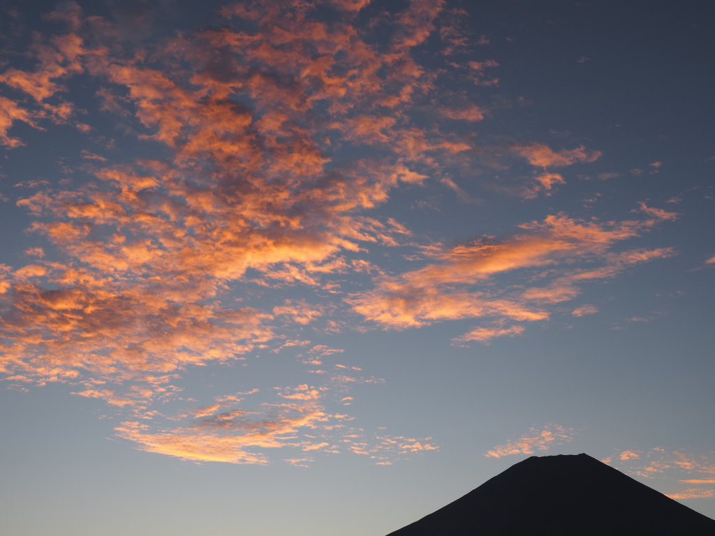 10/8 ������������̒��Ă��̕x�m�R