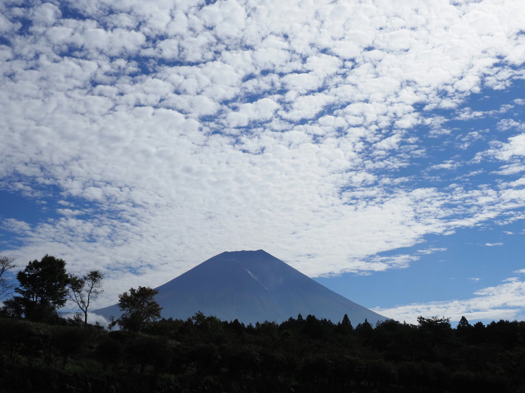 10/8 ���낱�_�ƕx�m�R