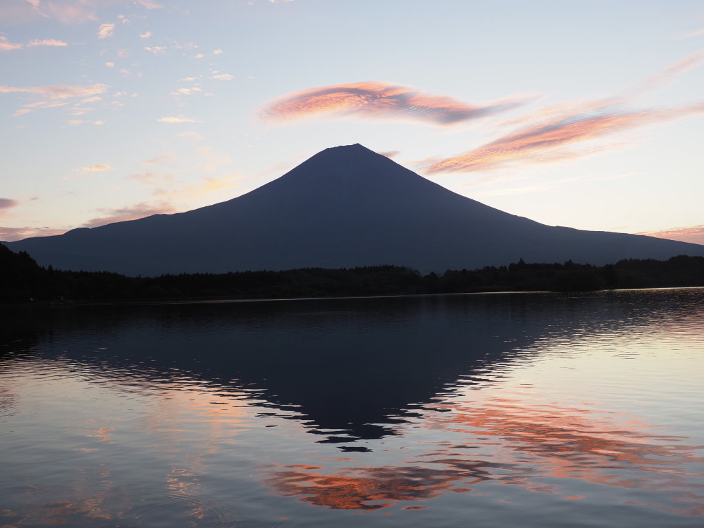 10/9 ���Ă��̕x�m�R