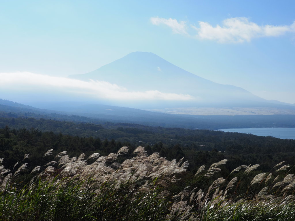 10/5 �v���Ԃ�̃p�m���}��