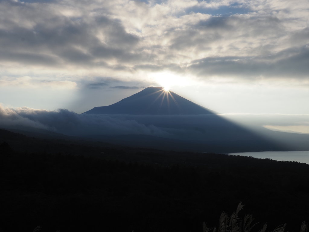 10/5 �p�m���}�䂩��̃_�C�������h�x�m(2)���������D�uQI�u