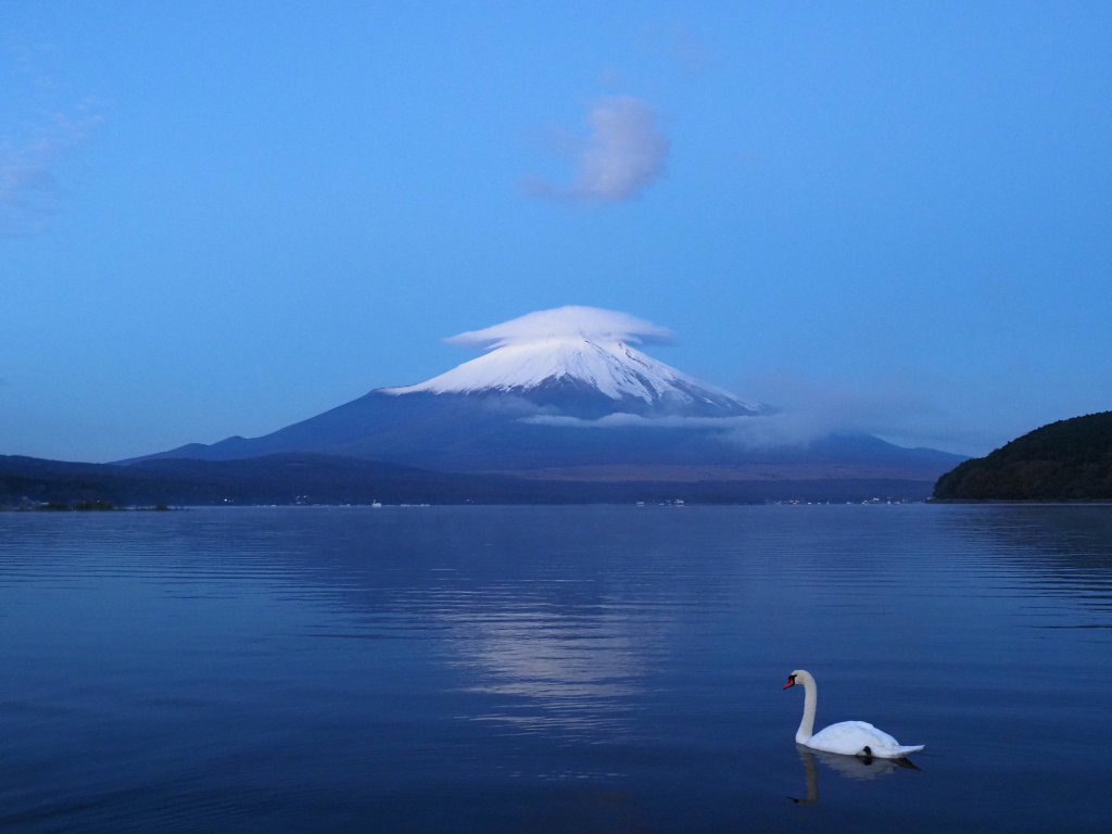 10/28 �P�_�̕x�m�R