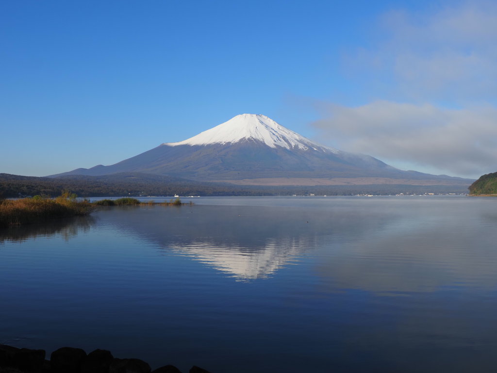 10/28 �t���x�m