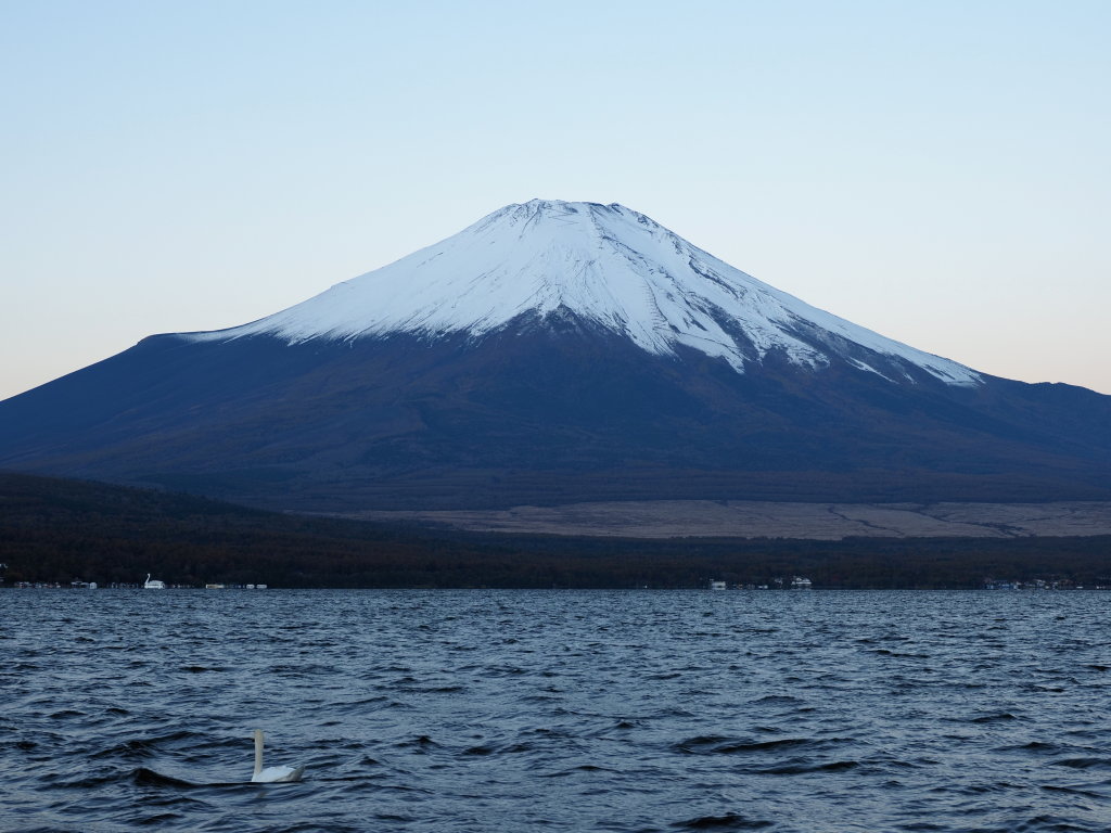 10/29 �s�[�J���̕x�m�R