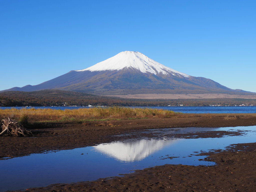 10/29 �U���̓r��