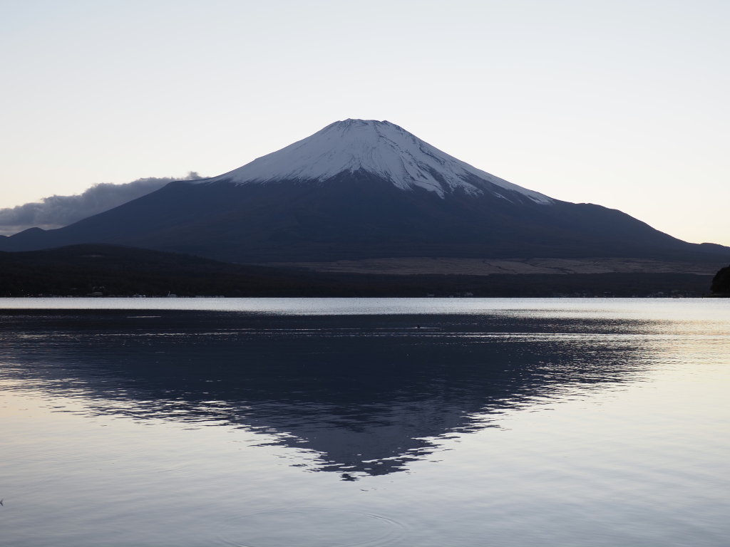 10/29 �[�Ă��̕x�m�R