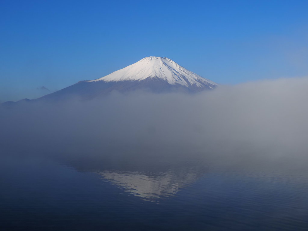 10/30 �_�C�ƕx�m�R