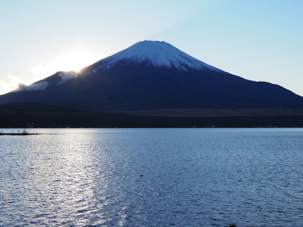 11/24 ���̓���̕x�m�R