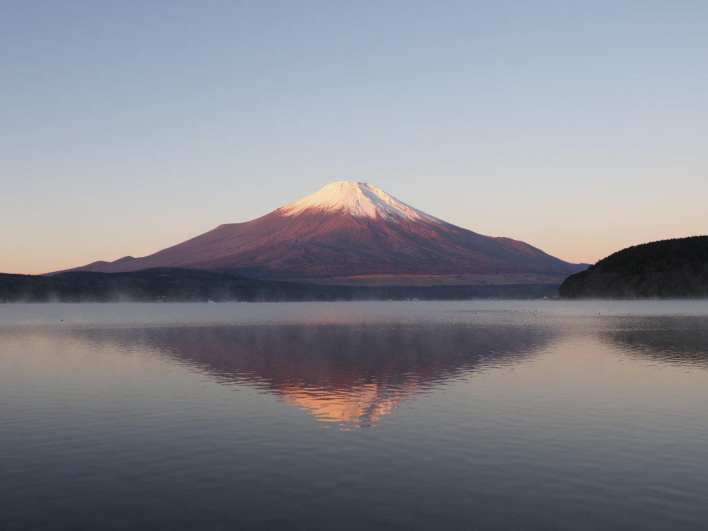 11/26 �t���g�x�m