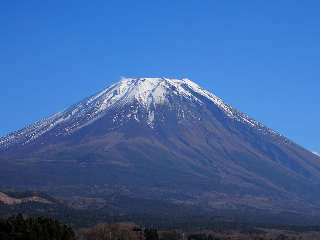 11/26 �x�m�K�䂩��̕x�m�R