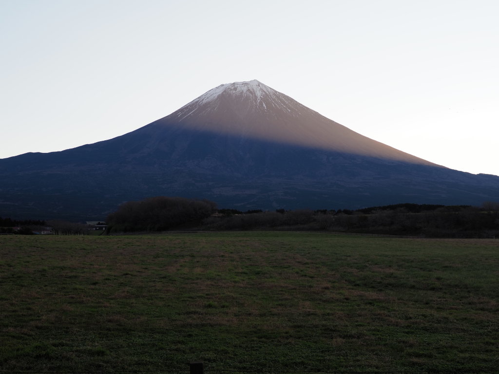 11/28 �Ԃ��Ȃ����̏o����