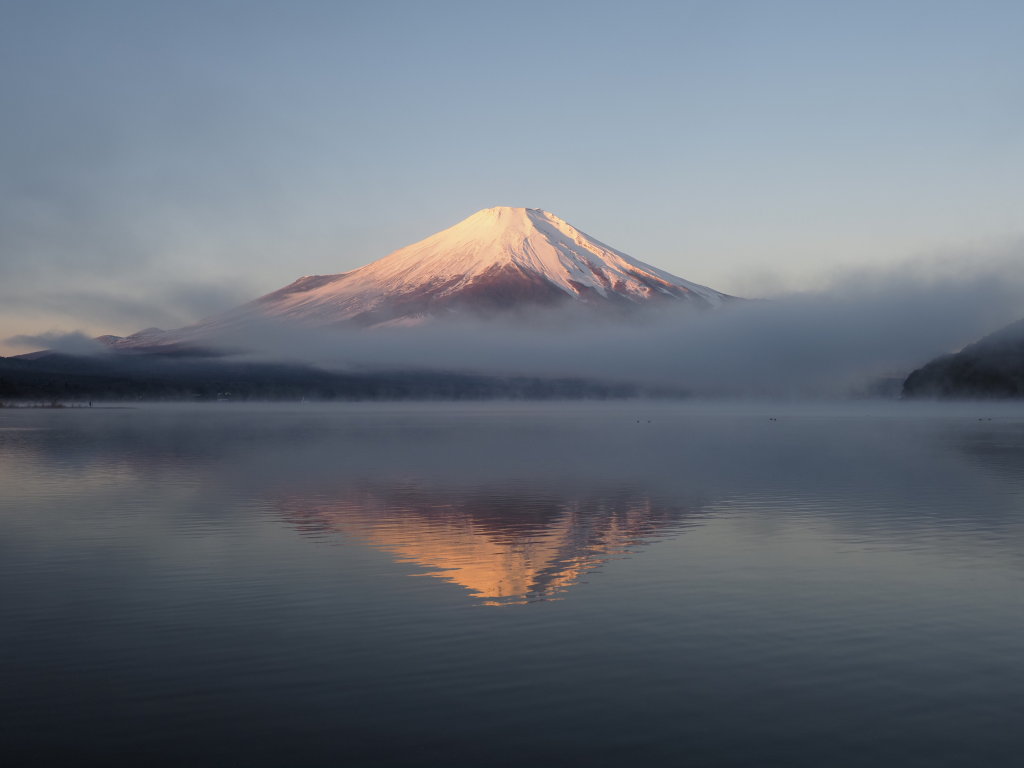 12/15 �g�t���x�m