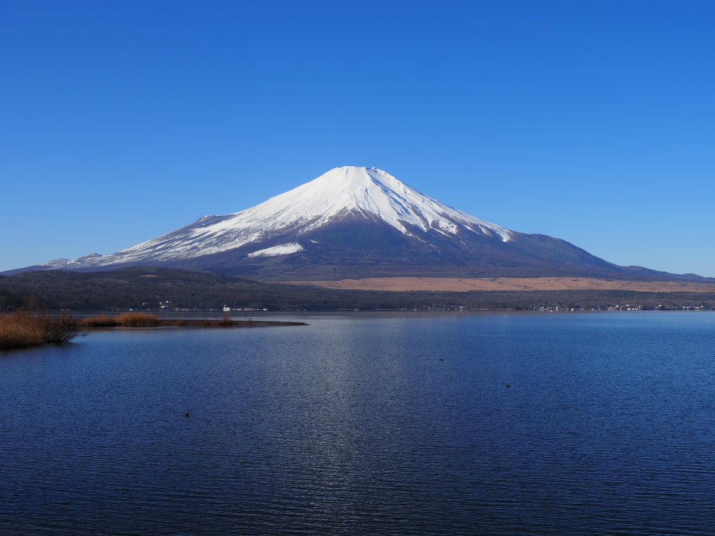 12/15 �U���̓r��