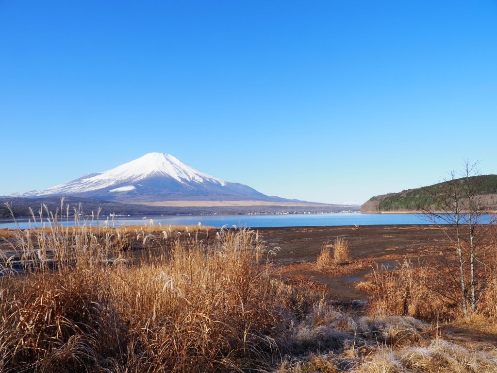 12/15 �U���̓r��(2)