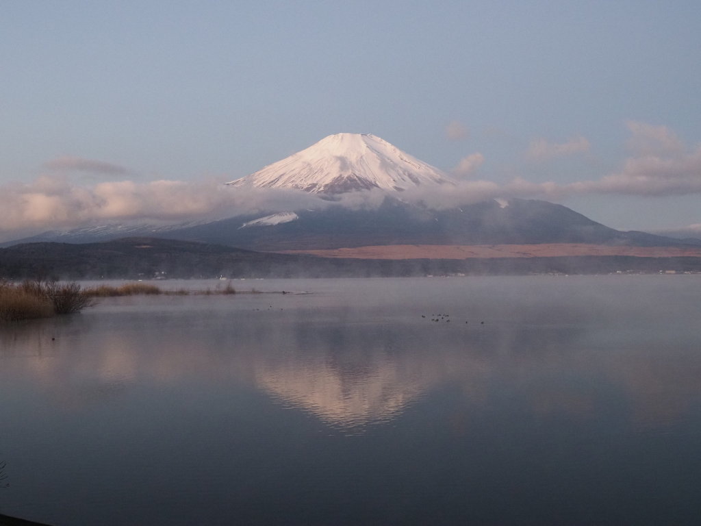 12/16 ���Ă��̕x�m�R