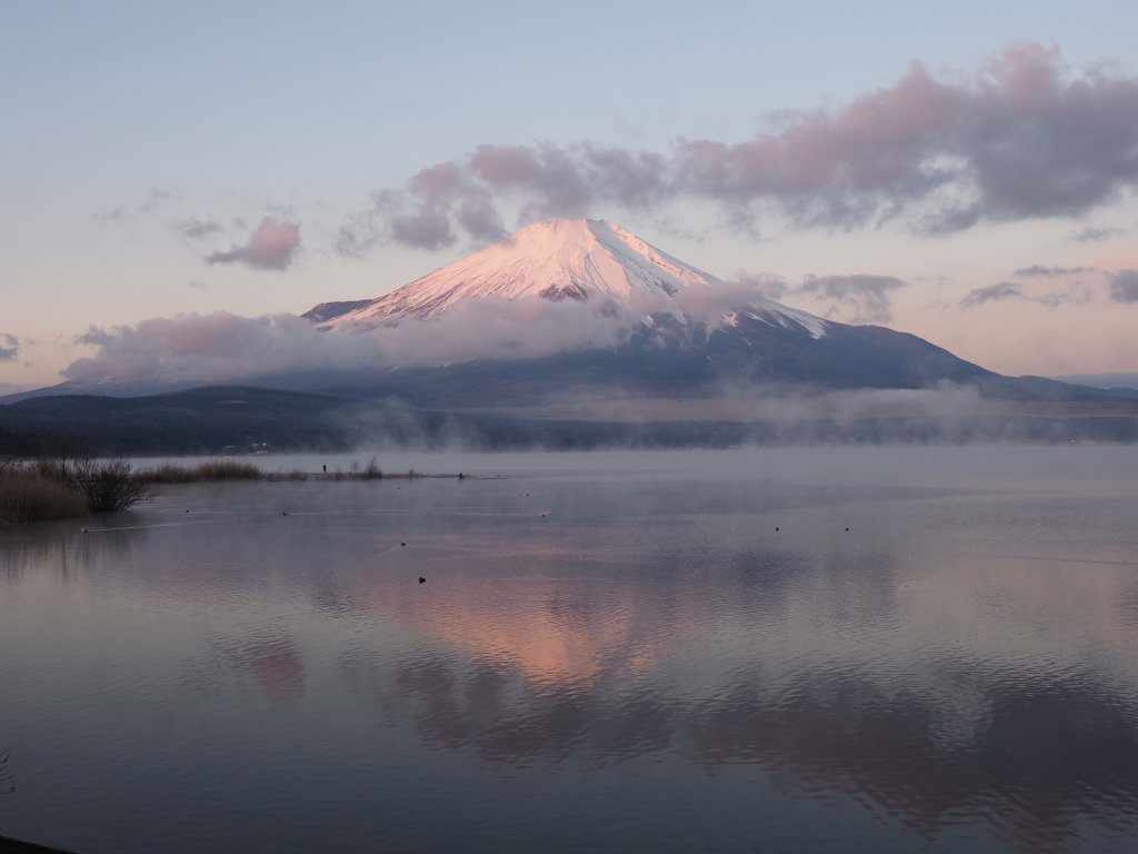 12/16 �_�̒��̒��Ă�