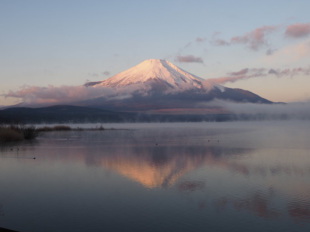 12/16 �_�؂��