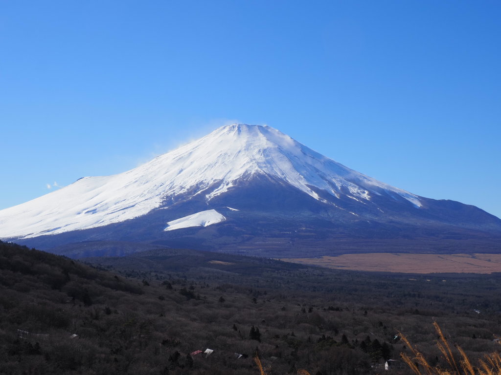 1/12 �p�m���}�䂩��̕x�m�R