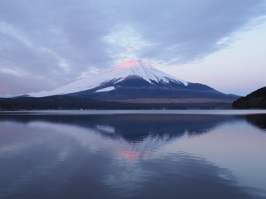 1/13 ���Ă��̕x�m�R