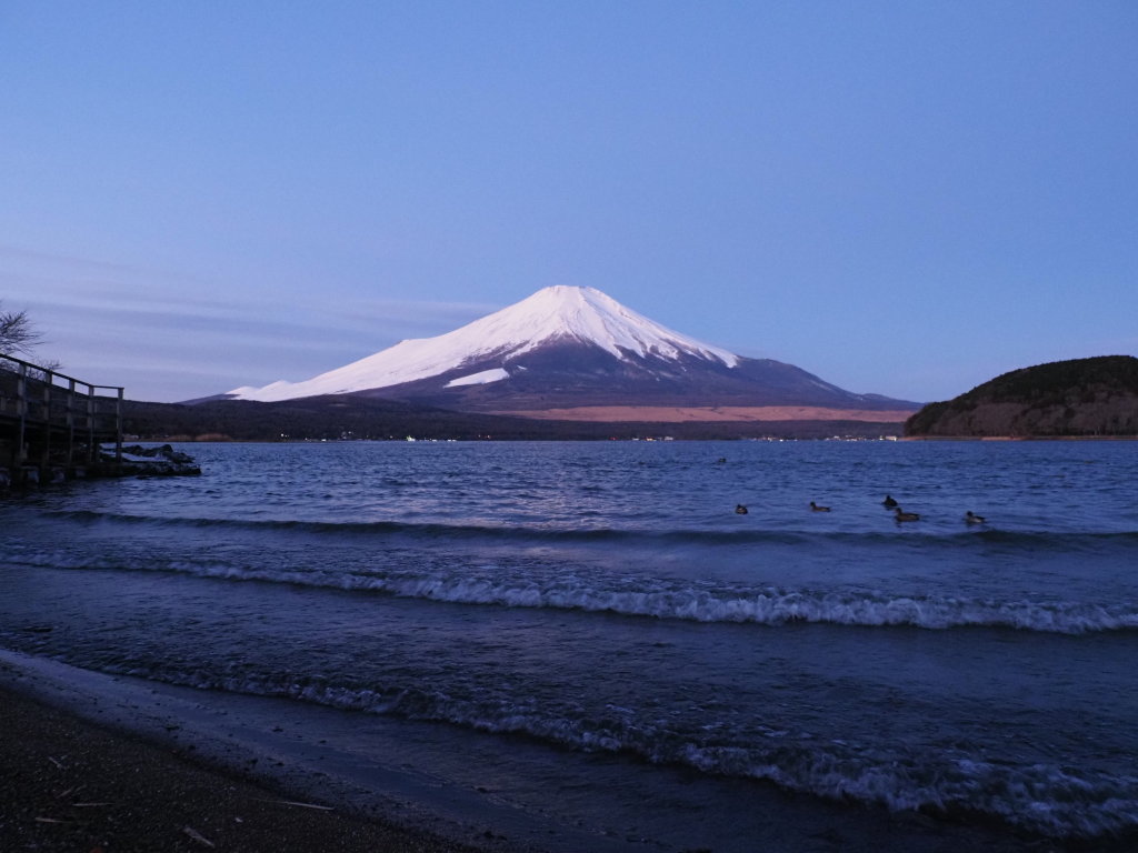 1/15 �g�ƕx�m�R