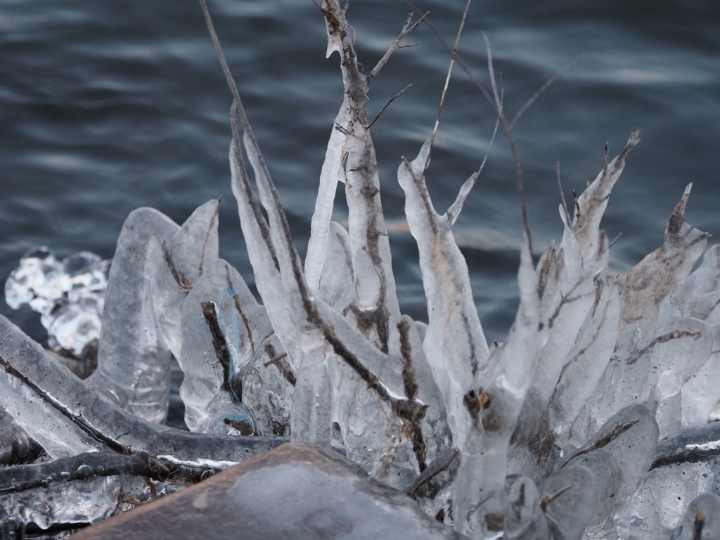 1/15 ���Ԃ��X