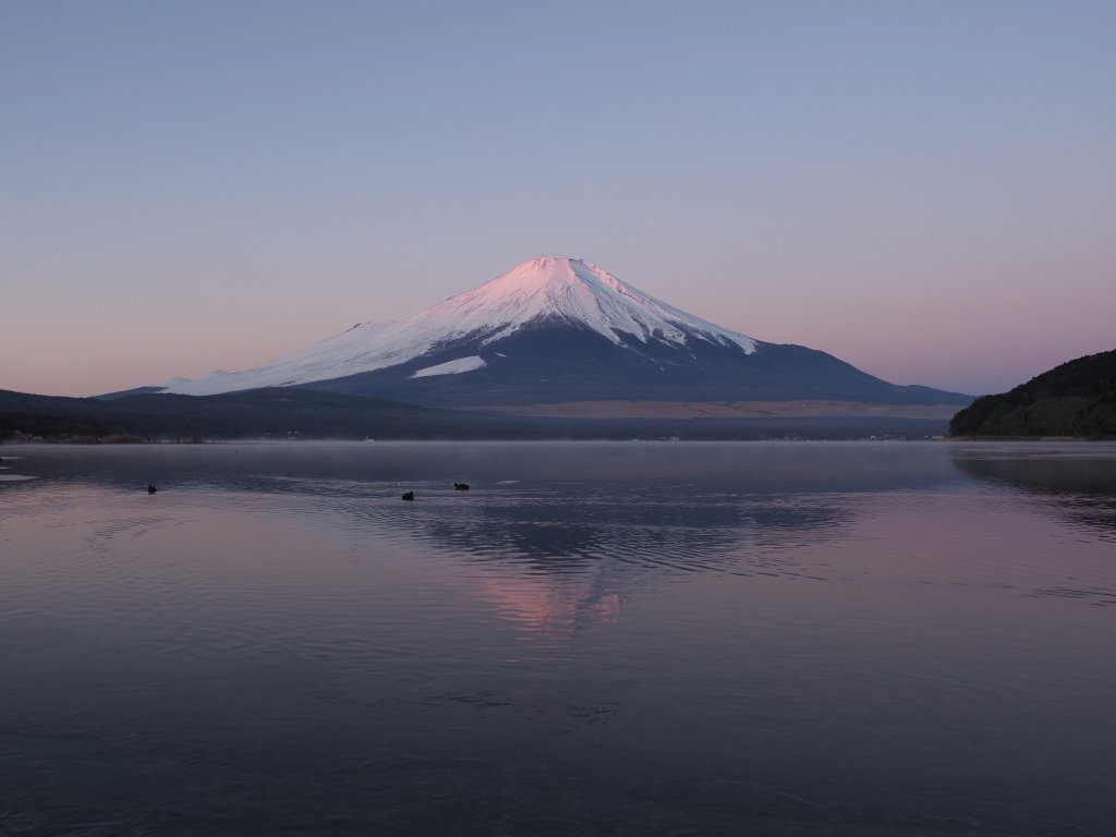 1/16 ���Ă��̕x�m�R