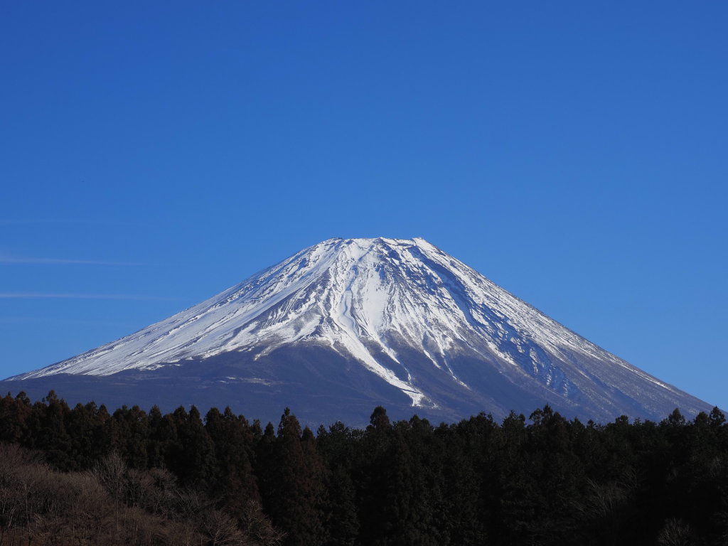 1/16 ������������̕x�m�R