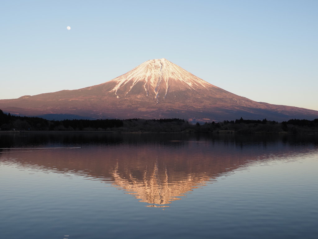 1/16 �[�Ă��̕x�m�R