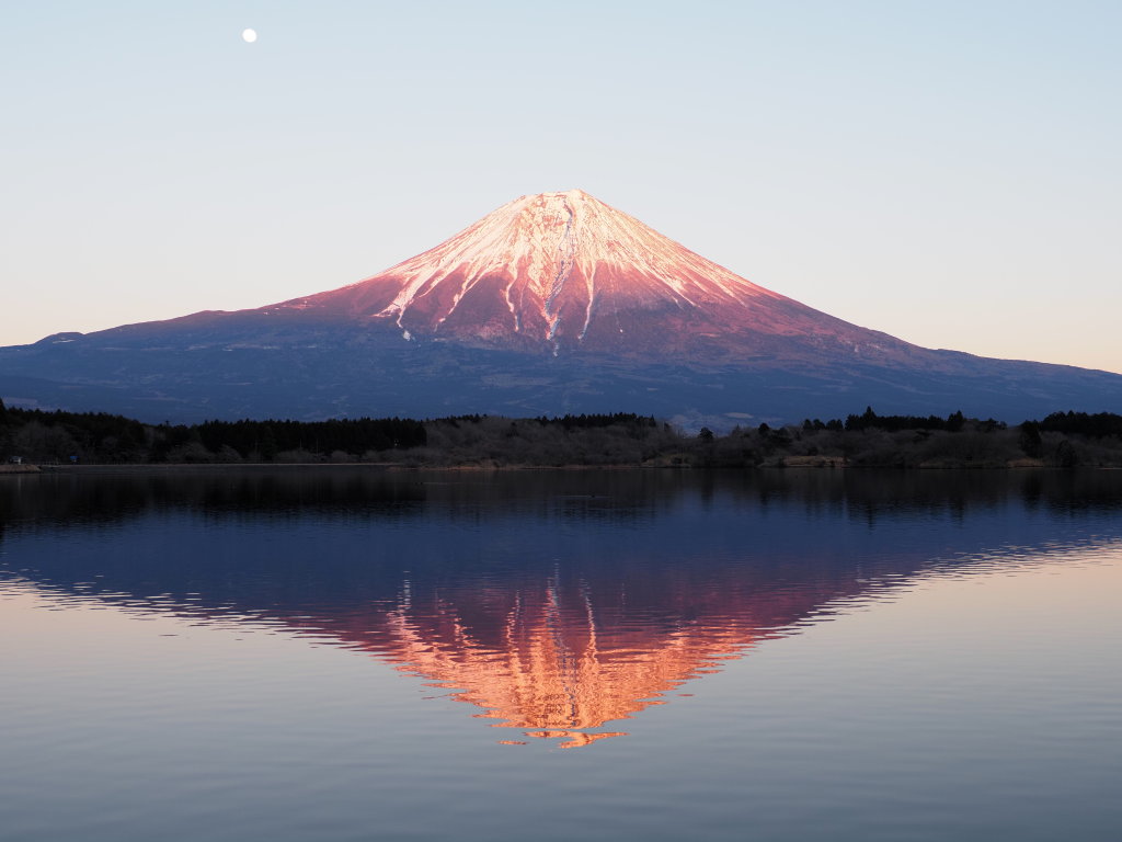 1/16 �[�Ă��̕x�m�R(2)