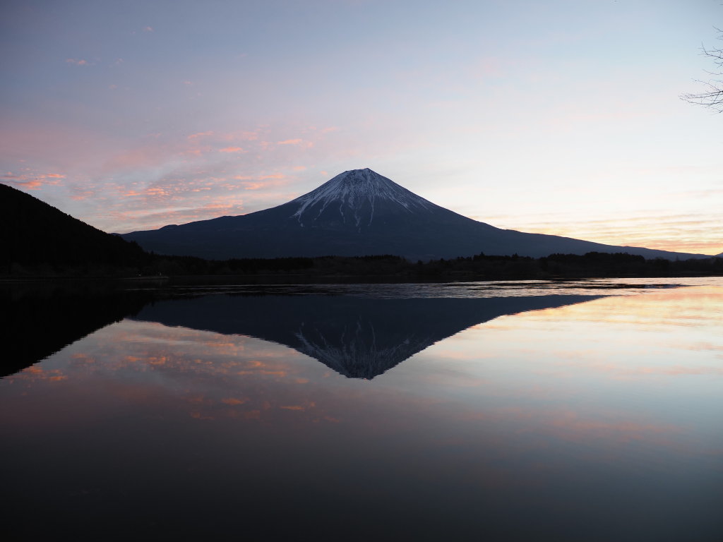 1/17 ���Ă��̕x�m�R