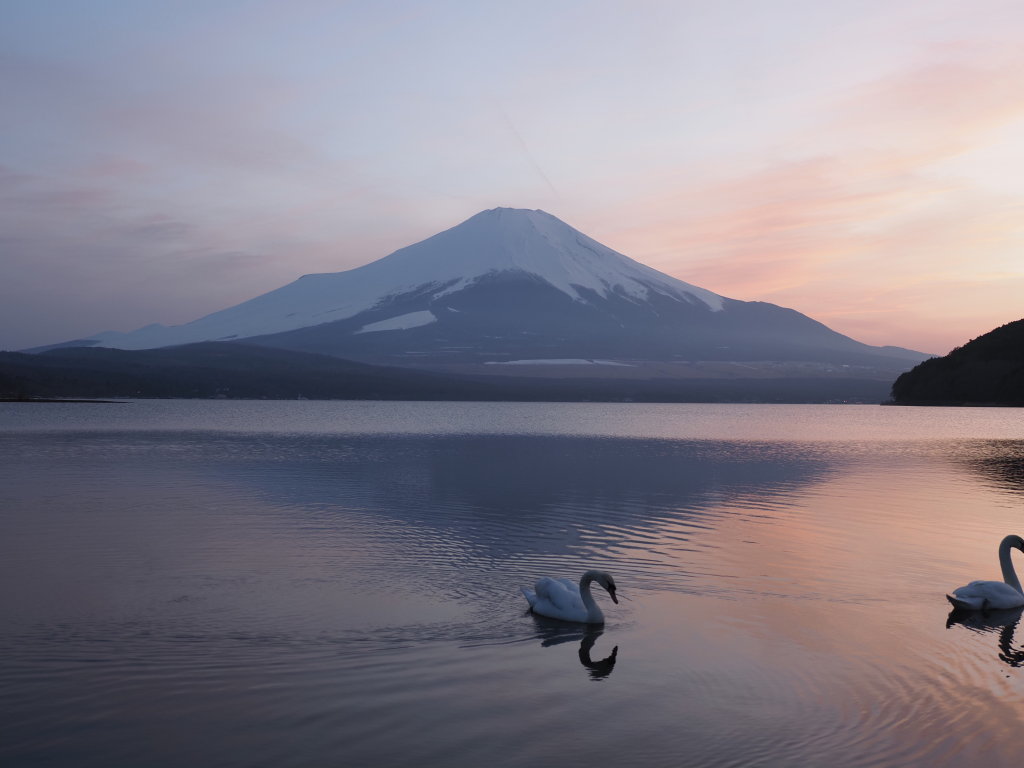 4/6 �����ƕx�m�R