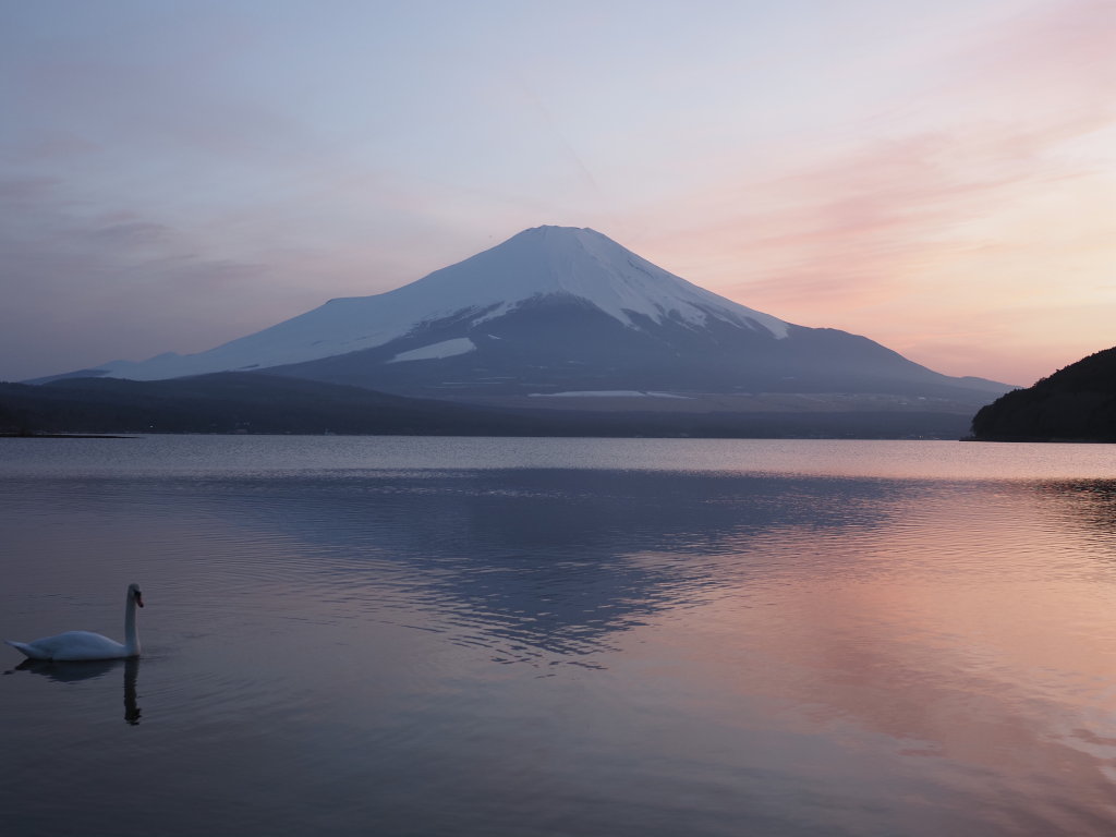 4/6 �[�Ă��̕x�m�R