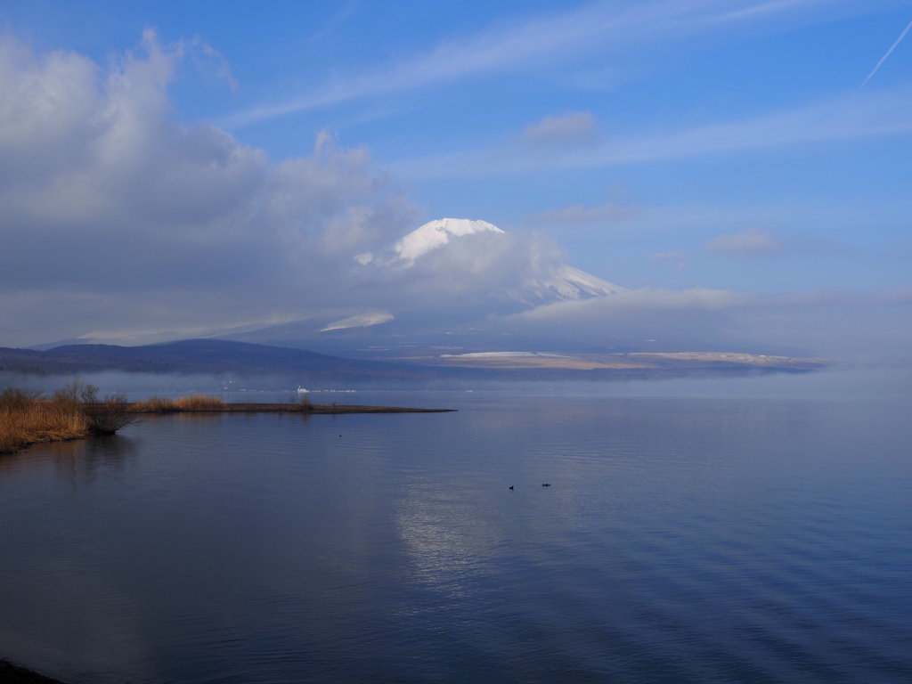 4/7 �����n�߂��x�m�R