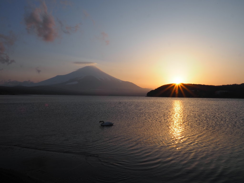 4/7 ���̓���̕x�m�R