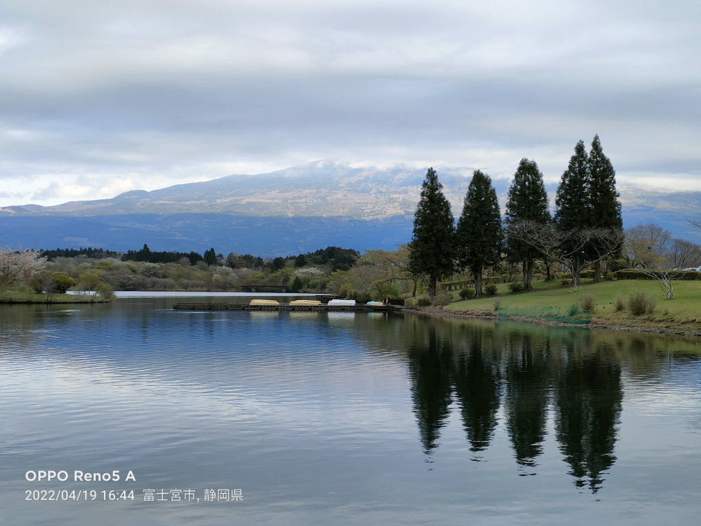 4/19 �c�ь΂���