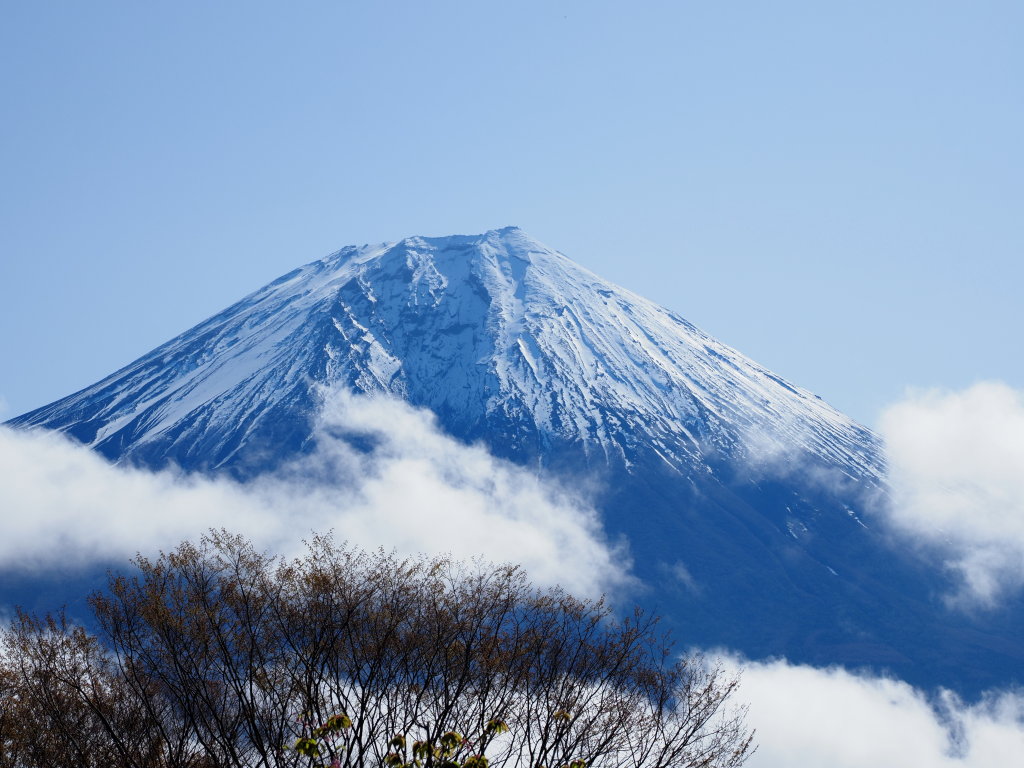 4/22 ��u�̕x�m�R