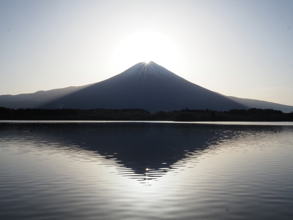 4/23 �_�C�������h�x�m